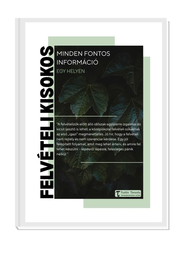 Felvételi folyamat útmutató, mockup